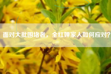面对大批围堵者，全红婵家人如何应对？