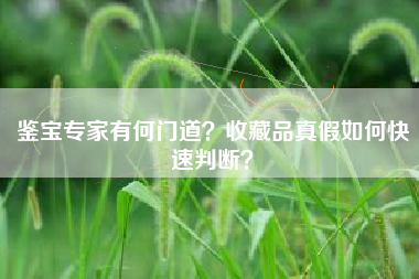 鉴宝专家有何门道？收藏品真假如何快速判断？