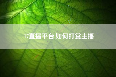 17直播平台,如何打赏主播