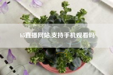 h5直播网站,支持手机观看吗