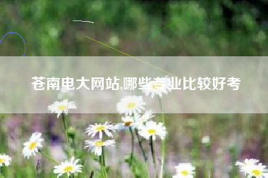 苍南电大网站,哪些专业比较好考