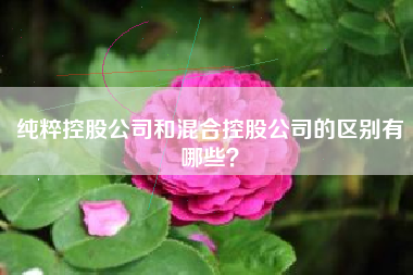 纯粹控股公司和混合控股公司的区别有哪些？