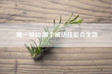 唯一被动,哪个被动技能会生效