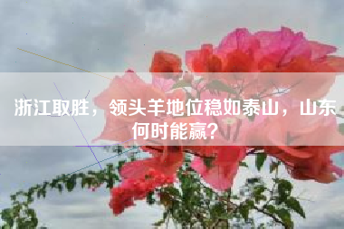 浙江取胜，领头羊地位稳如泰山，山东何时能赢？