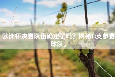 欧洲杯决赛队伍确定了吗？揭秘13支参赛球队。