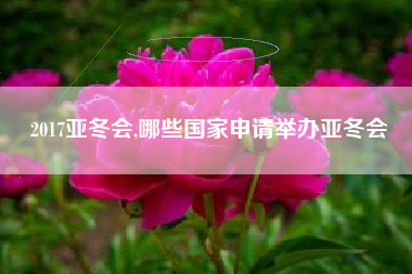 2017亚冬会,哪些国家申请举办亚冬会