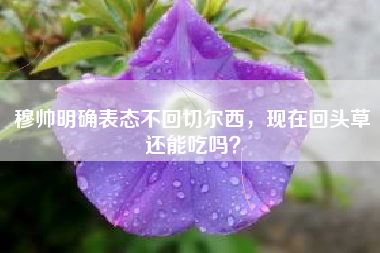 穆帅明确表态不回切尔西，现在回头草还能吃吗？