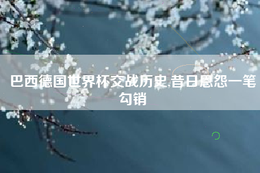 巴西德国世界杯交战历史,昔日恩怨一笔勾销