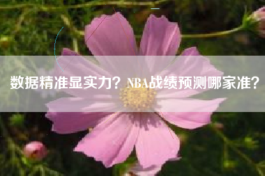 数据精准显实力？NBA战绩预测哪家准？