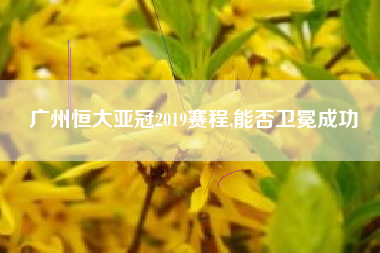 广州恒大亚冠2019赛程,能否卫冕成功