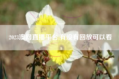 2023澳网直播平台,有没有回放可以看