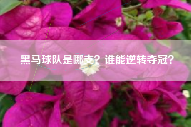 黑马球队是哪支？谁能逆转夺冠？