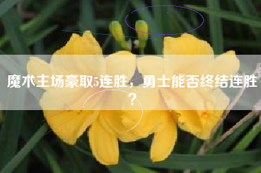 魔术主场豪取5连胜，勇士能否终结连胜？
