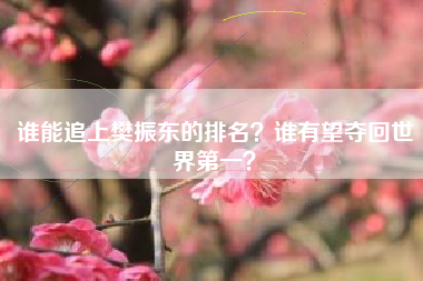 谁能追上樊振东的排名？谁有望夺回世界第一？