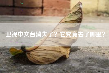 卫视中文台消失了？它究竟去了哪里？