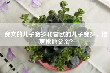 赛文的儿子赛罗和雷欧的儿子赛罗，谁更像他父亲？
