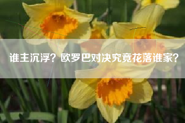 谁主沉浮？欧罗巴对决究竟花落谁家？