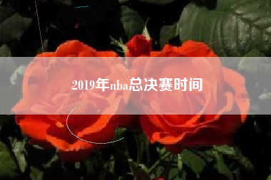2019年nba总决赛时间