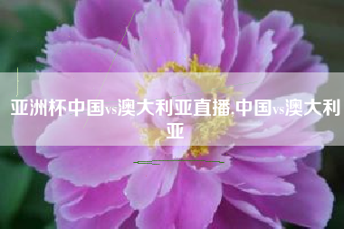 亚洲杯中国vs澳大利亚直播,中国vs澳大利亚