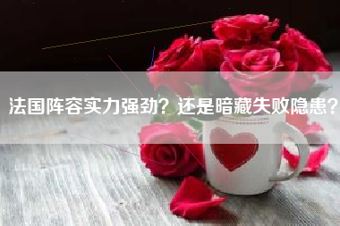 法国阵容实力强劲？还是暗藏失败隐患？