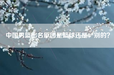 中国男篮出名原因是篮球还是，别的？