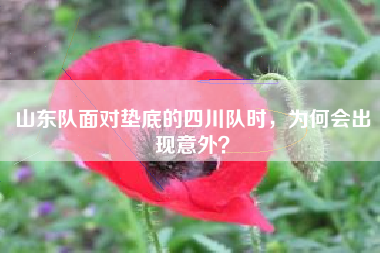 山东队面对垫底的四川队时，为何会出现意外？