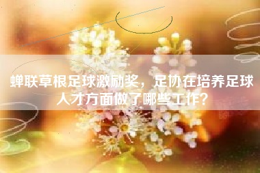 蝉联草根足球激励奖，足协在培养足球人才方面做了哪些工作？