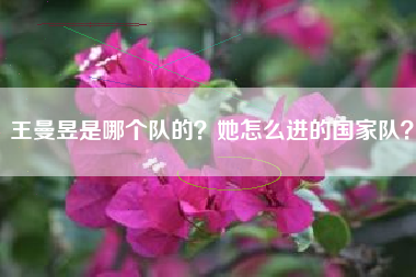 王曼昱是哪个队的？她怎么进的国家队？