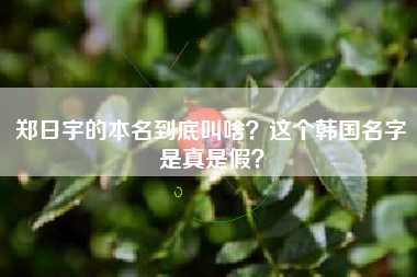 郑日宇的本名到底叫啥？这个韩国名字是真是假？