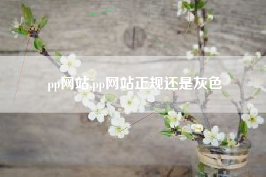 pp网站,pp网站正规还是灰色