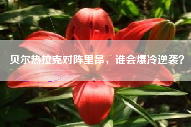 贝尔热拉克对阵里昂，谁会爆冷逆袭？