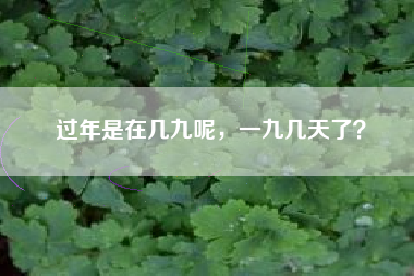过年是在几九呢，一九几天了？