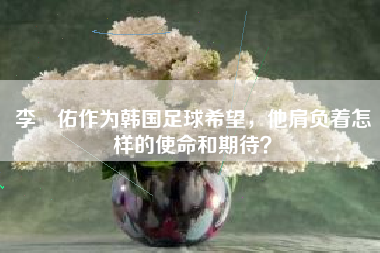 李昇佑作为韩国足球希望，他肩负着怎样的使命和期待？