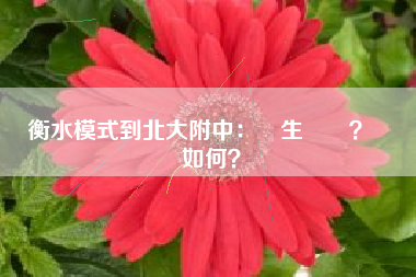 衡水模式到北大附中：學生評價？適應如何？