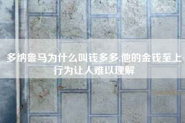 多纳鲁马为什么叫钱多多,他的金钱至上行为让人难以理解