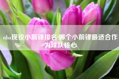 nba现役小前锋排名,哪个小前锋最适合作为球队核心