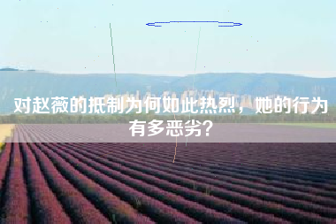 对赵薇的抵制为何如此热烈，她的行为有多恶劣？