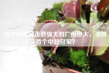 苏宁队如何击败强大的广州恒大，夺得首个中超冠军？