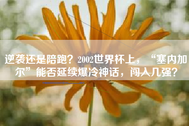逆袭还是陪跑？2002世界杯上，“塞内加尔”能否延续爆冷神话，闯入几强？