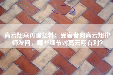 高云翔案再曝猛料：受害者向高云翔律师发问，哪些细节对高云翔有利？