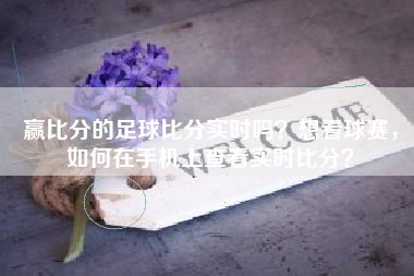 赢比分的足球比分实时吗？想看球赛，如何在手机上查看实时比分？