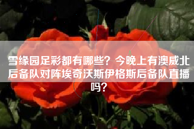 雪缘园足彩都有哪些？今晚上有澳威北后备队对阵埃奇沃斯伊格斯后备队直播吗？