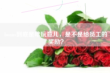 bonus到底是啥玩意儿，是不是给员工的奖励？