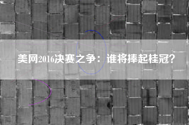 美网2016决赛之争：谁将捧起桂冠？