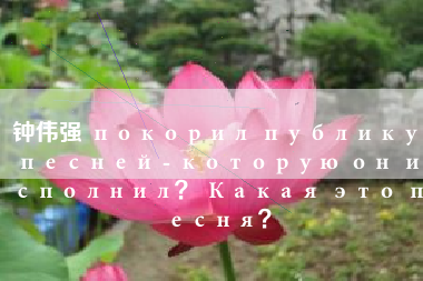 钟伟强 покорил публику песней - которую он исполнил？ Какая это песня？