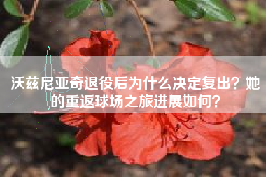 沃兹尼亚奇退役后为什么决定复出？她的重返球场之旅进展如何？