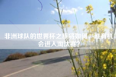 非洲球队的世界杯之旅将如何，谁有机会进入淘汰赛？