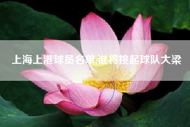 上海上港球员名单,谁将挑起球队大梁