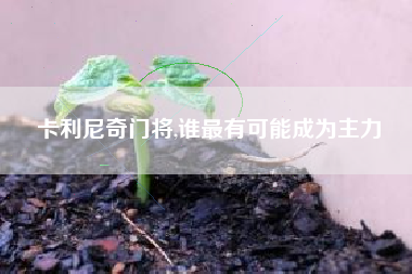 卡利尼奇门将,谁最有可能成为主力