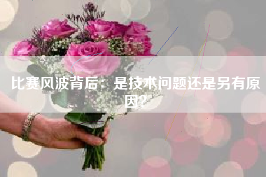比赛风波背后：是技术问题还是另有原因？